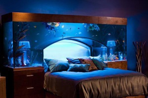 Cama Acuario